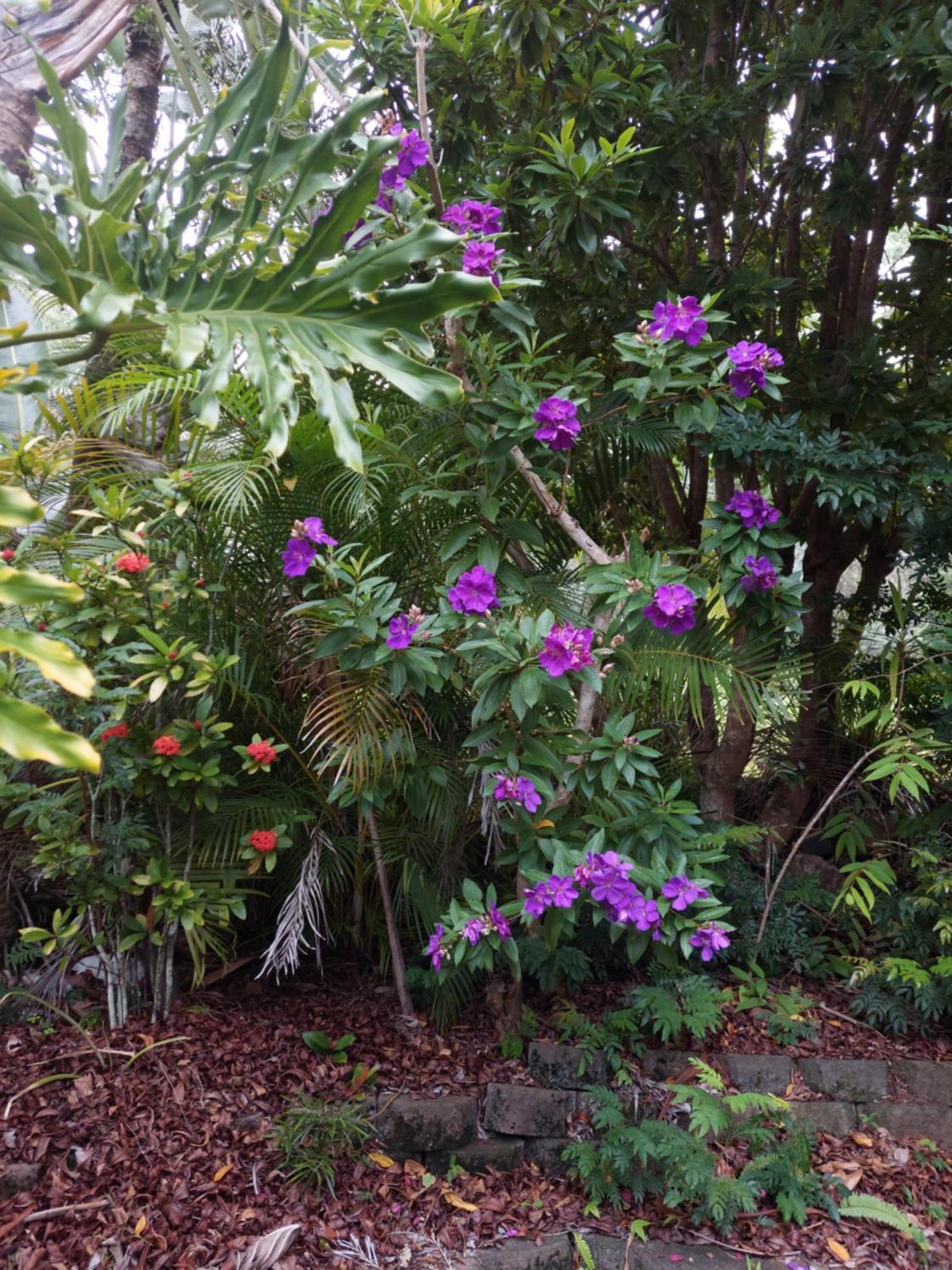 Riviera Bed&Breakfast Gold Coast Exterior foto